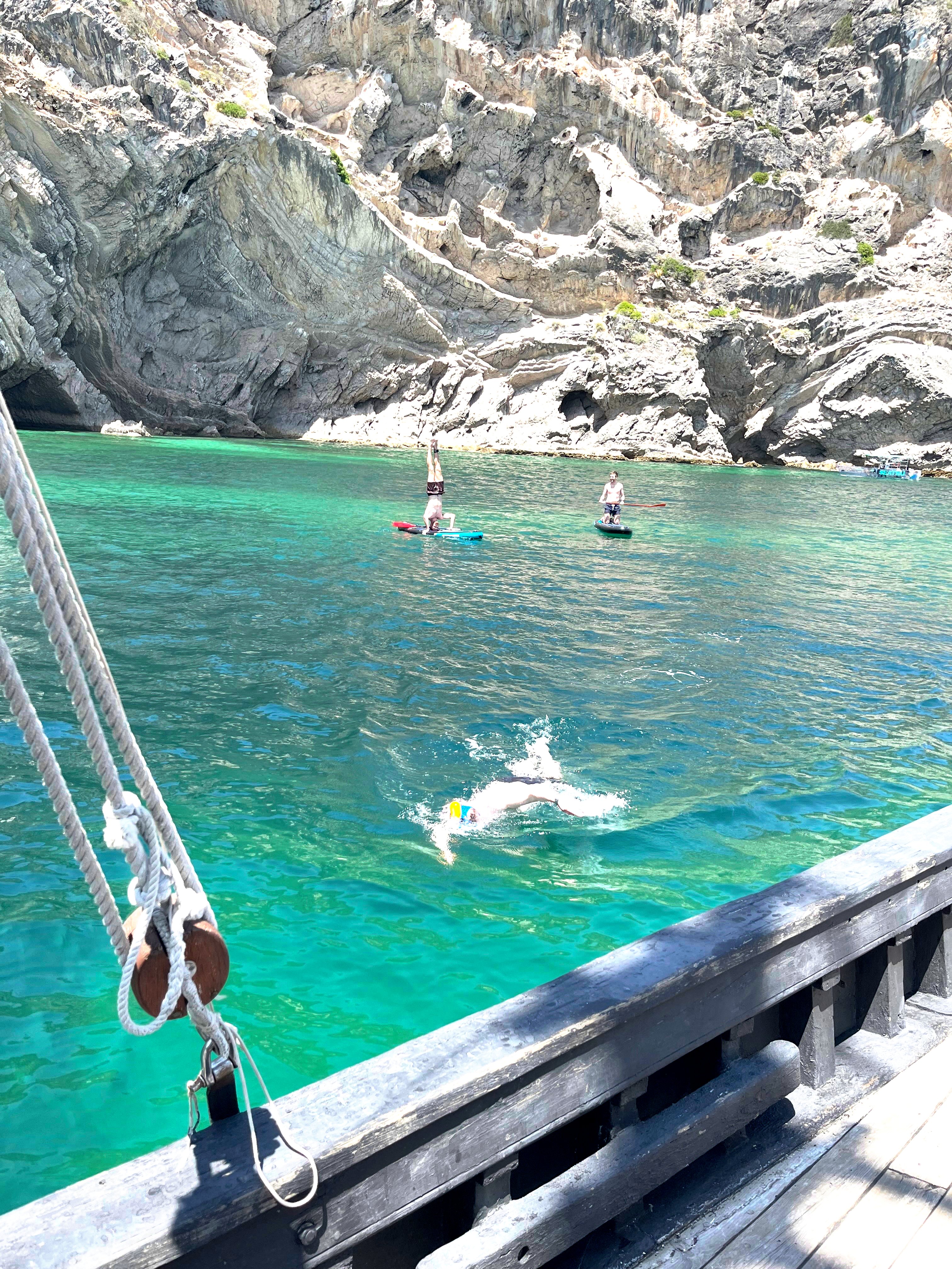 Antics in the sea